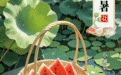节气里的中国智慧｜暑气渐盛时，邂逅夏日独有的美好